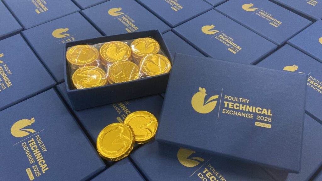 Caixa Rígida Personalizada